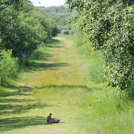 Horizont 2 Lejlighed Baltrum