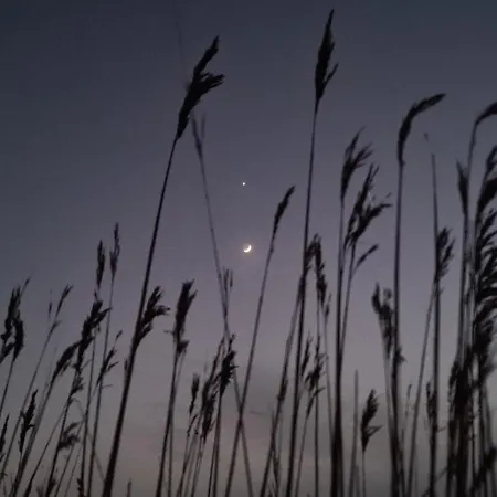 Lejlighed Horizont 2 Baltrum